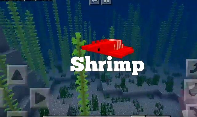 Мод Oceanic для MCPE 1.10.0.4 на Андроид