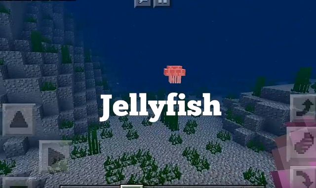 Мод Oceanic для MCPE 1.10.0.4 на Андроид