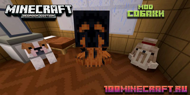Мод на Собак для Майнкрафт ПЕ (Bedrock, Windows 10)