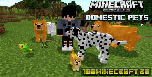 Мод Domestic Pets для Майнкрафт ПЕ на Айфон, Андроид, Win 10