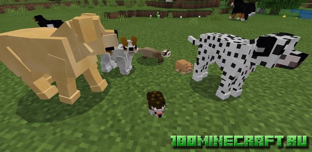 Мод Domestic Pets для Майнкрафт ПЕ на Айфон, Андроид, Win 10