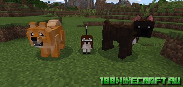 Мод Domestic Pets для Майнкрафт ПЕ на Айфон, Андроид, Win 10