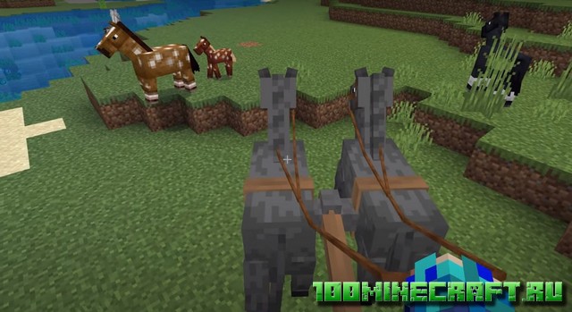 Extra Vehicles [1.19] - Повозка
