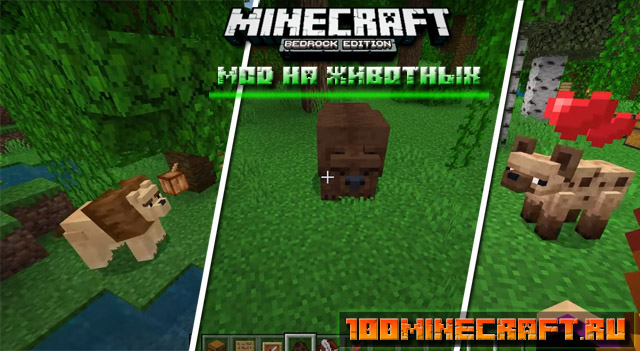 Мод на Медведей и Животных [Bedrock, Windows 10]