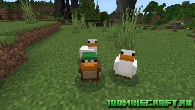 Мод на Медведей и Животных [Bedrock, Windows 10]