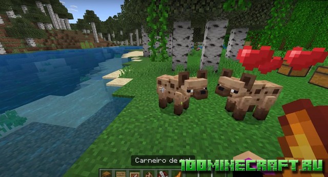 Мод на Медведей и Животных [Bedrock, Windows 10]
