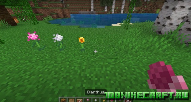 Мод на Медведей и Животных [Bedrock, Windows 10]
