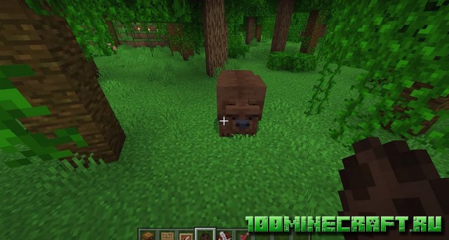 Мод на Медведей и Животных [Bedrock, Windows 10]