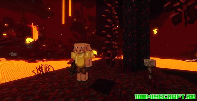 Текстуры Fancy для MCPE 1.16 | Windows 10, Андроид