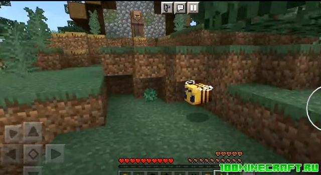 Мод Morph для Майнкрафт ПЕ 1.16 на Андроид