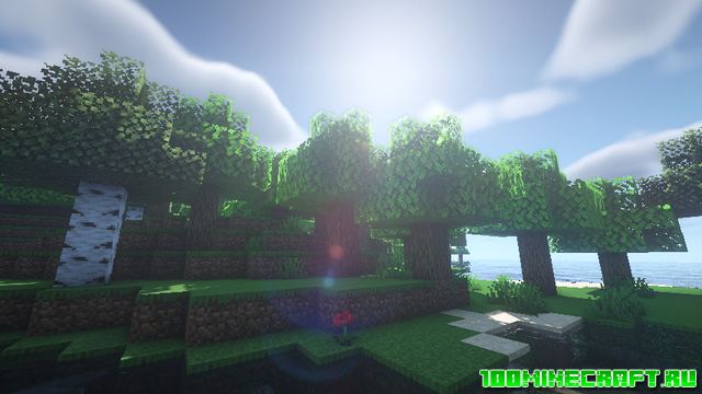 Скачать текстуры New Better для Minecraft 1.16.5